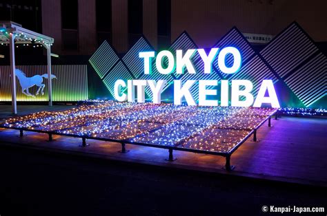tokyo mega illumination|Visiting Shinagawa: Tokyo Mega Illumination .